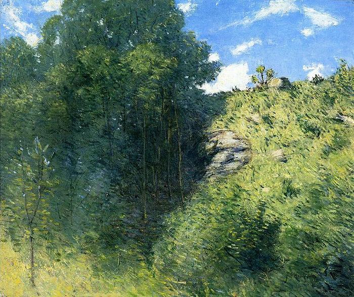 julian alden weir Ravine near Branchville